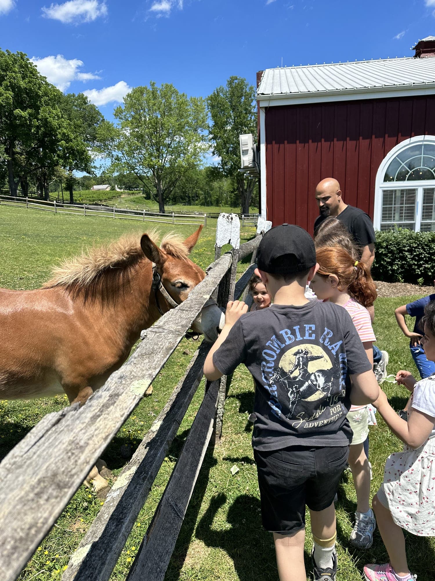 Children feeding a pony at a farm fence during the trip to Alstede Farms